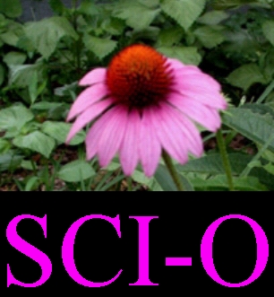 The SCI-O Project: removed due to lack of funding